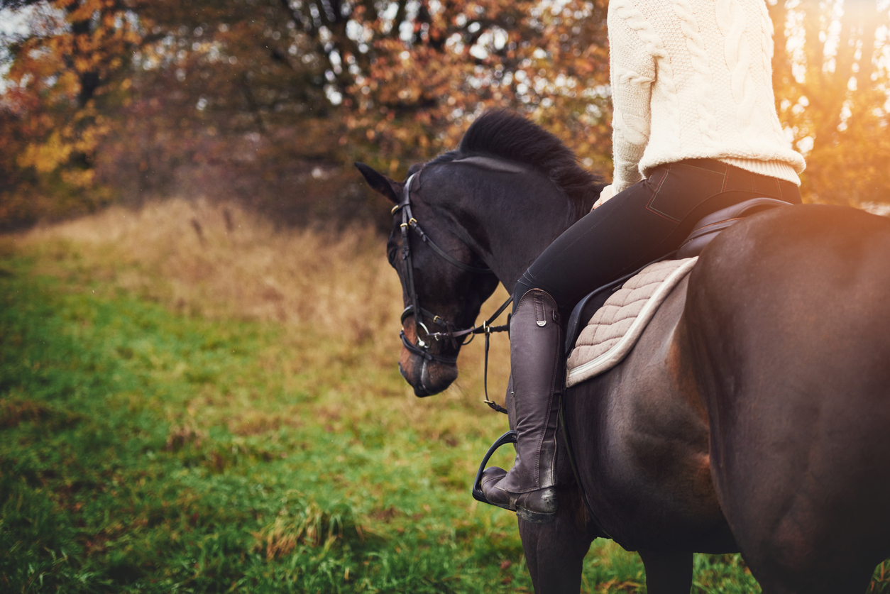 Head to These 3 Stables for Horse Riding in Redmond