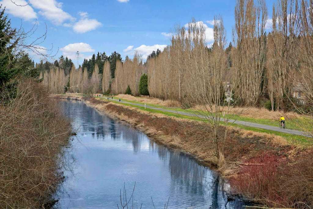 Apartments In Bellevue Wa Parkside By Lincoln Amenities