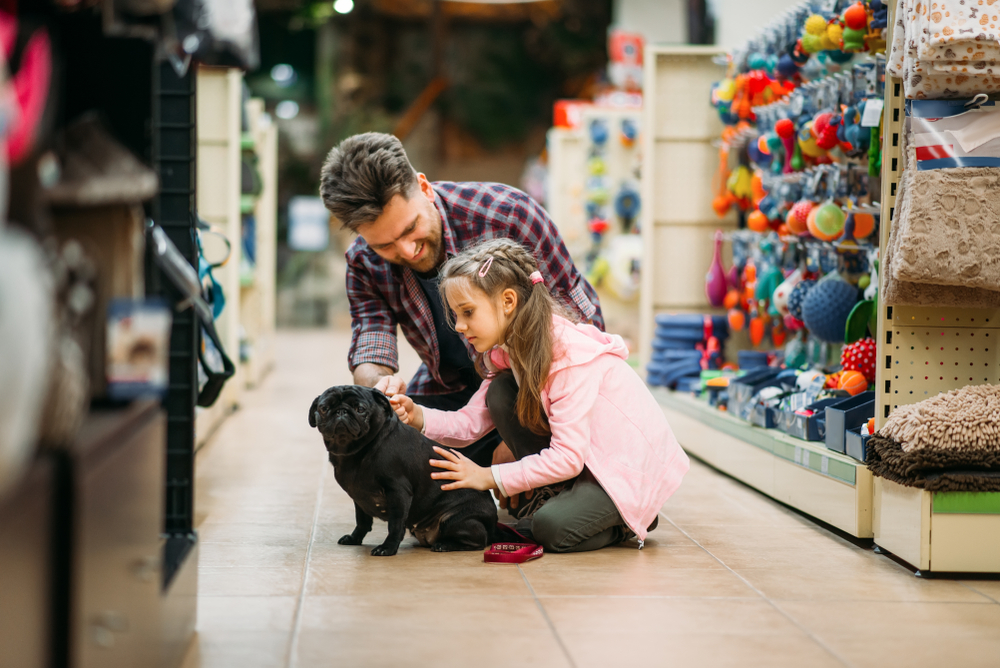 Go Shopping with Your Pup at a Pet Store in Redmond
