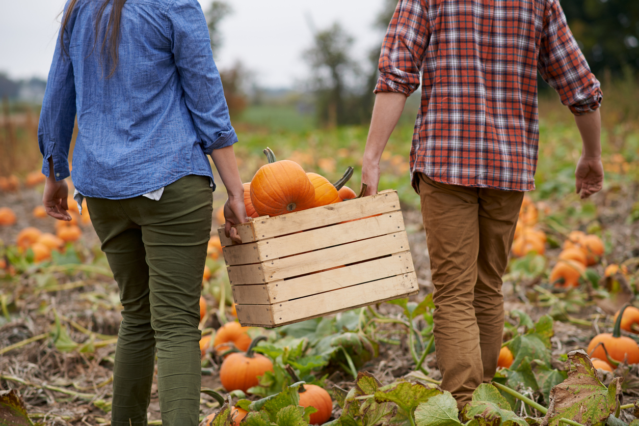 Celebrate Fall at Farms Near Redmond