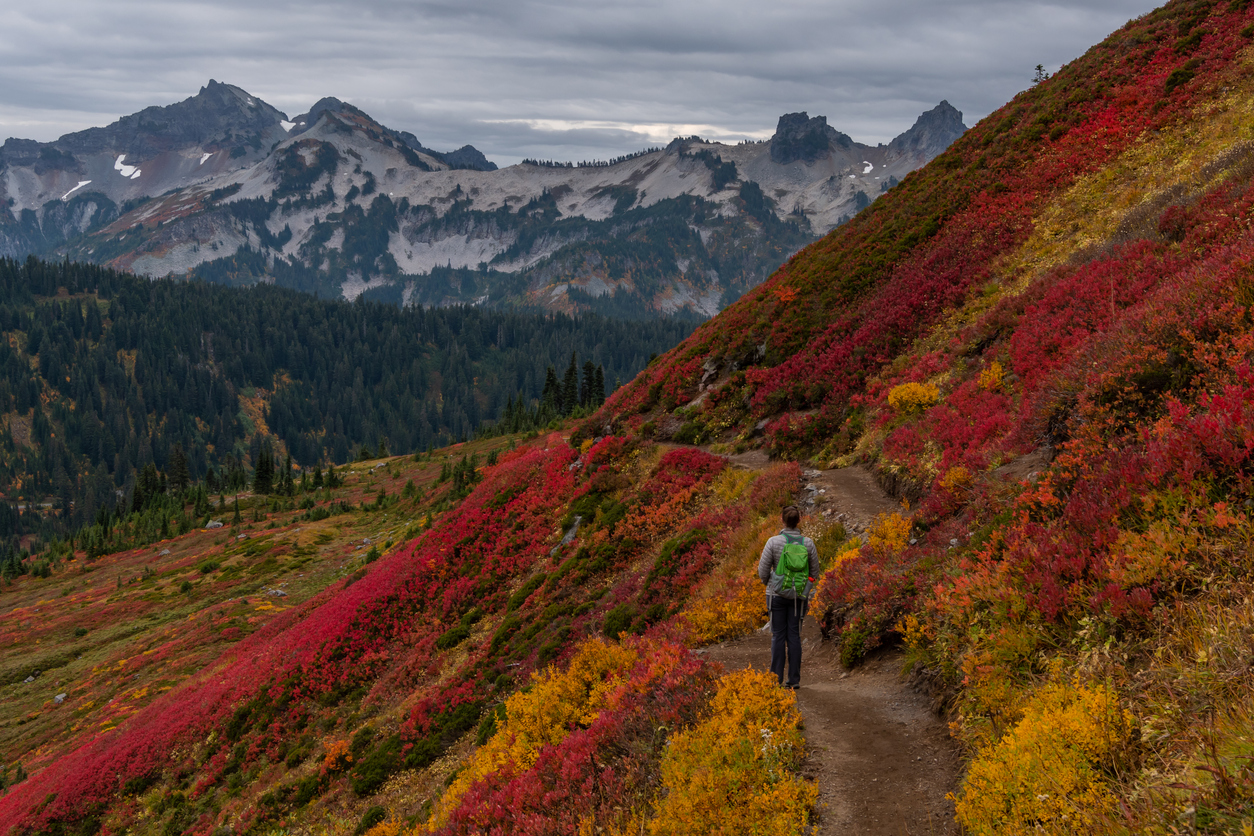 Go On a Scenic Hike Near Redmond at Red Mountain