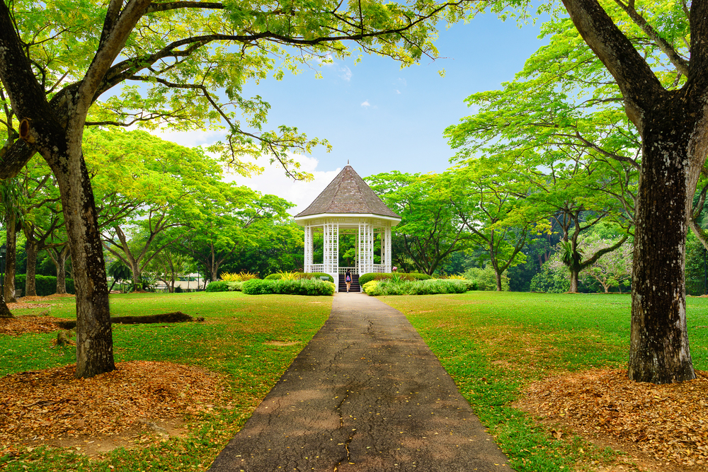 Enjoy Webinars from Bellevue Botanical Gardens, Redmond's Hidden Oasis