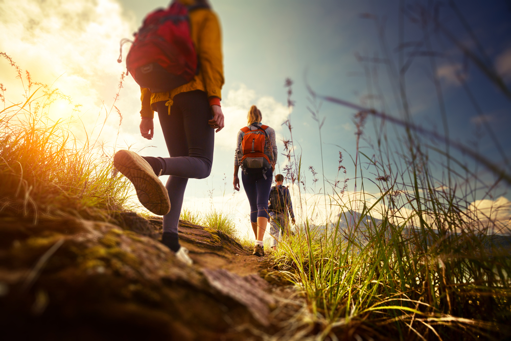 3 of the Best Nature Trails in Redmond for Hiking Enthusiasts