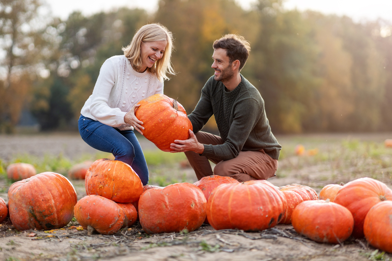 Get into the Fall Spirit at These Pumpkin Patches in Redmond