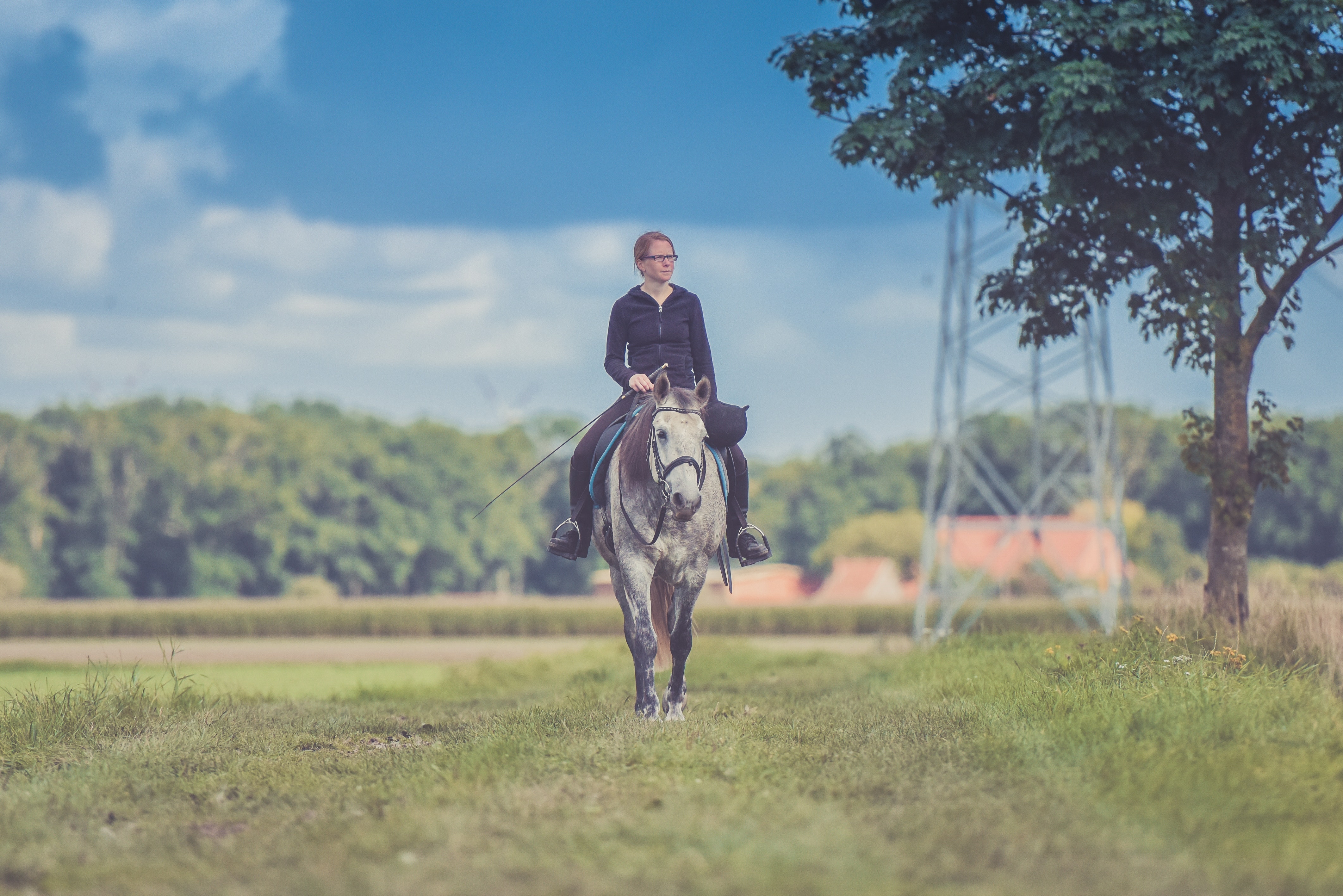 Enjoy Learning to Ride Horses at Facilities Around Redmond